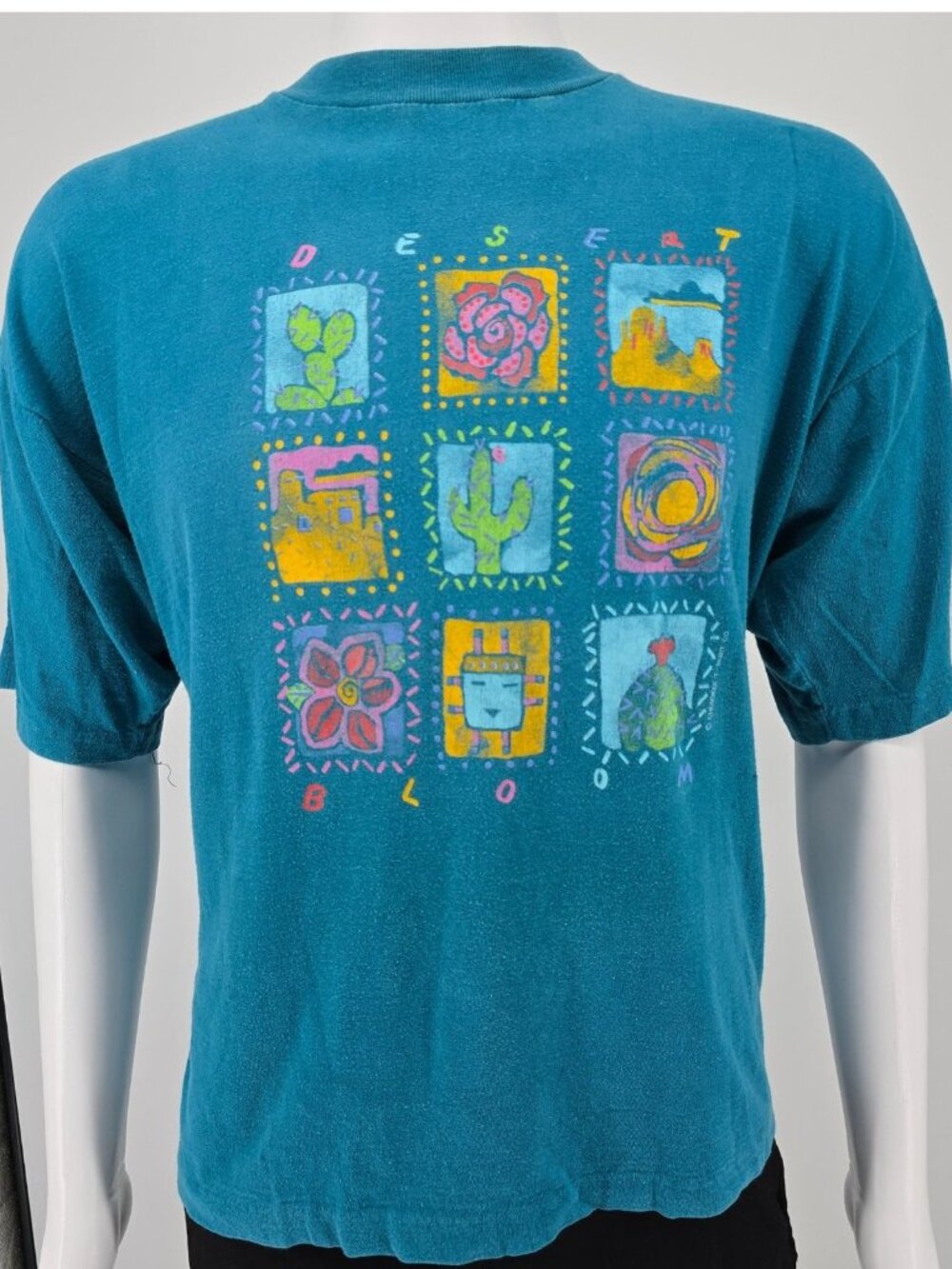 Distressed Vintage 1990s Cherokee "Desert Bloom" Southwest Graphic T-Shirt (XXL)